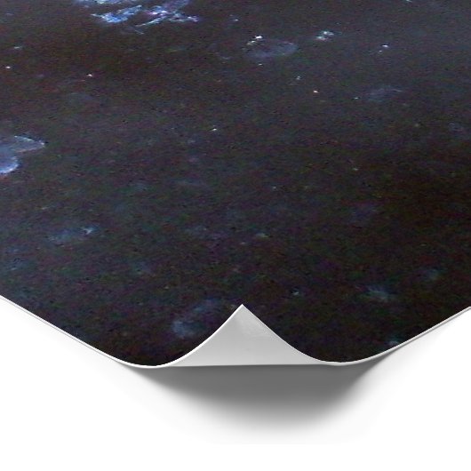 Luna Moth写真ポスター ポスター (角)