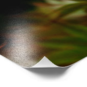 Luna Moth 19x16大プリント フォトプリント (角)