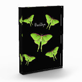 Luna Moth cartoon illustration フォトブロック (左)