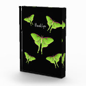 Luna Moth cartoon illustration フォトブロック (右)
