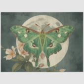Luna Moth Conservatory 薄葉紙 (正面)