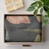 Luna Moth ConservatoryvBotanicals 薄葉紙 (ギフト)