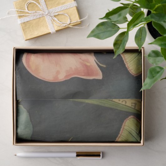 Luna Moth ConservatoryvBotanicals 薄葉紙 (ギフト)