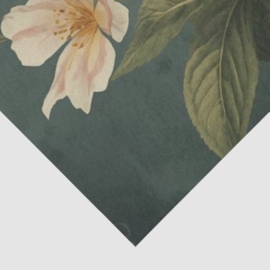 Luna Moth ConservatoryvBotanicals 薄葉紙 (詳細)