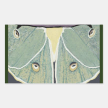 Luna Moth Digitalのア絵画ントリーピロー