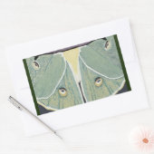 Luna Moth Digitalのア絵画ントリーピロー 長方形シール (封筒)