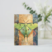 Luna Moth Painting ポストカード (スタンド正面)