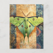 Luna Moth Painting ポストカード (正面)