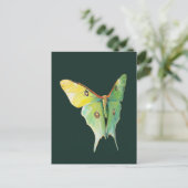 Luna Moth Painting on Dark Background ポストカード (スタンド正面)