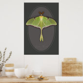 Luna Moth Poster -24x36 – その他のサイズ利用可能 ポスター (キッチン)