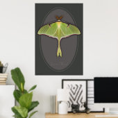 Luna Moth Poster -24x36 – その他のサイズ利用可能 ポスター (ホームオフィス)
