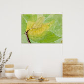 Lunar Caterpillar by Abbott Handerson Thayer ポスター (キッチン)