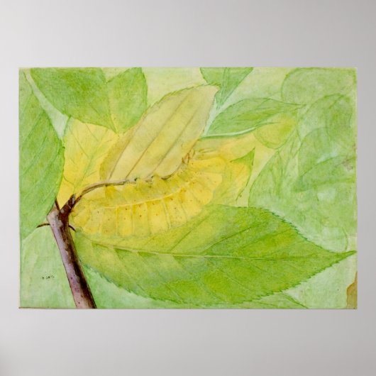 Lunar Caterpillar by Abbott Handerson Thayer ポスター (正面)