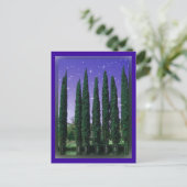 Lundblade針葉樹 – Starry Eve、ポストカード ポストカード (スタンド正面)