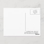 Lundblade針葉樹 – Starry Eve、ポストカード ポストカード (裏面)