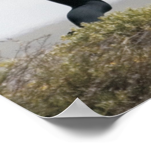 Lung Function Improves With Chiropractic Care ポスター (角)