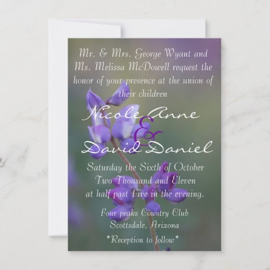 Lupineの招待の分野 招待状 (正面)