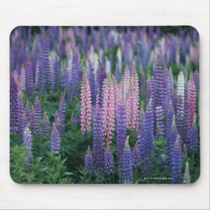 Lupine マウスパッド