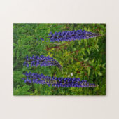 Lupines ジグソーパズル (横)