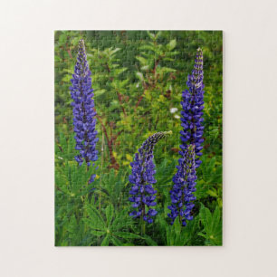Lupines ジグソーパズル