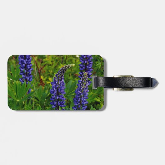 Lupines ラゲッジタグ (裏面横)