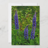 Lupines 招待状 (正面)
