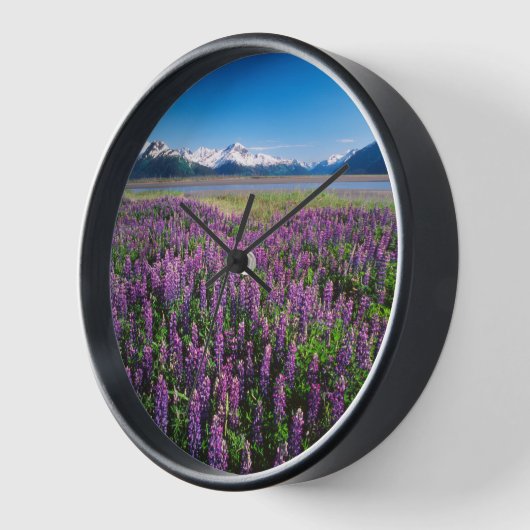 Lupines in Bloom | Kenai Mountains, Alaska 壁時計 (傾斜)