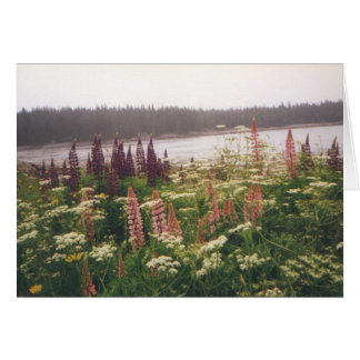 "Lupines、Vinalhaven、メイン"