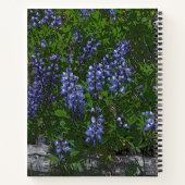 Lupins ノートブック (裏面)