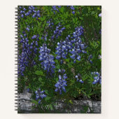 Lupins ノートブック (正面)