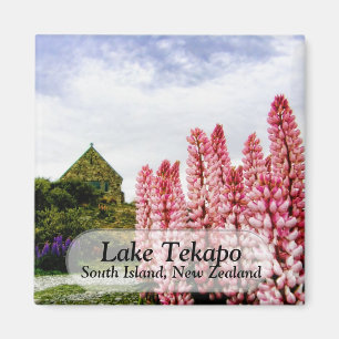 lupins @湖のTekapoピンクのニュージーランドの磁石 マグネット