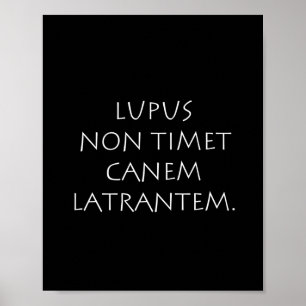 Lupus non timet canem latrantem ポスター