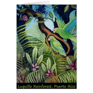 Luquilloのオウム