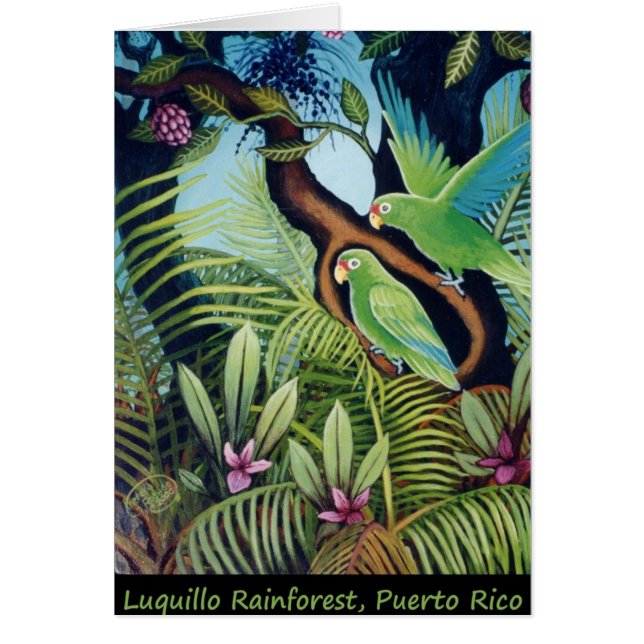 Luquilloのオウム (正面)