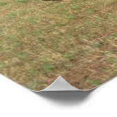 Luscombe, T-8F, 1948_クラシックAviation ポスター (角)