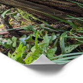 Lush Ferns Growing on Tree Stump Botanical ポスター (角)