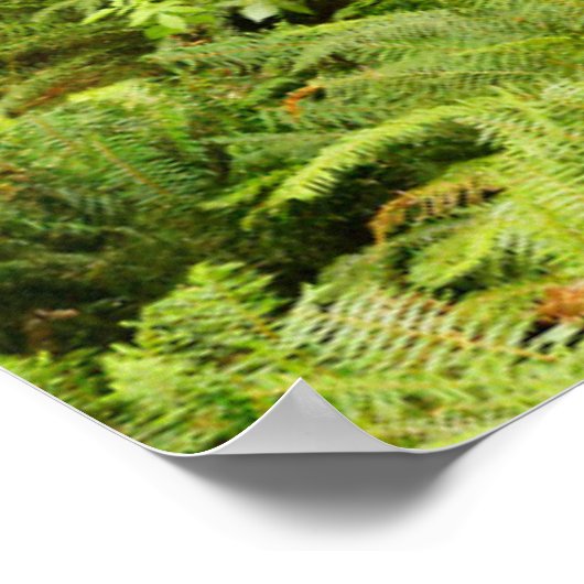 Lush Forest & Ferns | Ecola State Park, Oregon ポスター (角)