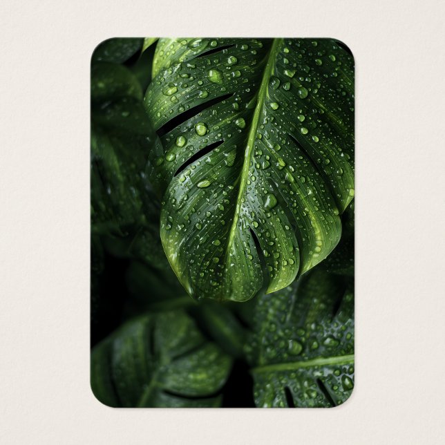 Lush Monstera Leaves with Morning Dew Drops (正面)