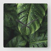 Lush Monstera Leaves with Morning Dew Drops スクエア壁時計 (正面)