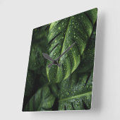 Lush Monstera Leaves with Morning Dew Drops スクエア壁時計 (傾斜)
