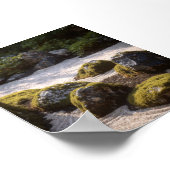 Lush Moss & Stones in Japanese Zen Garden Detail ポスター (角)