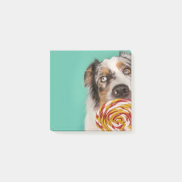 Lustiger Australian Shepherd Hund mit Lolli ポストイット