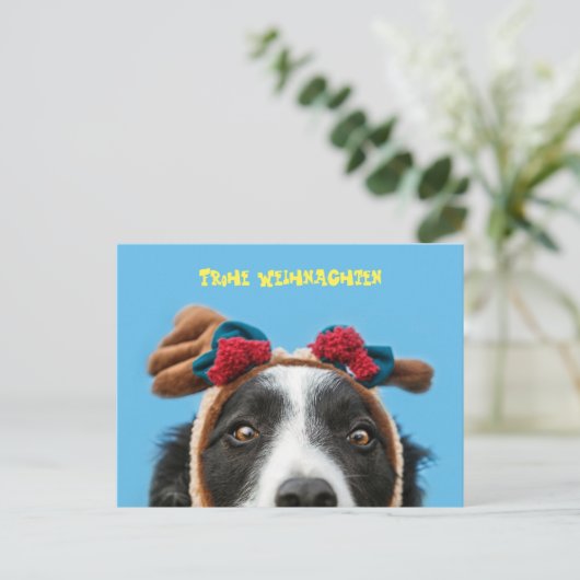 Lustiger Border Collie wünscht frohe Weihnachten ポストカード (スタンド正面)