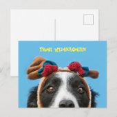 Lustiger Border Collie wünscht frohe Weihnachten ポストカード (正面/裏面)