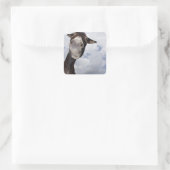 lustiger Esel スクエアシール (バッグ)