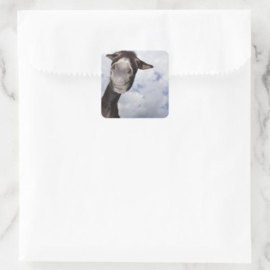 lustiger Esel スクエアシール (バッグ)