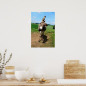 Lustiger Esel ポスター (キッチン)