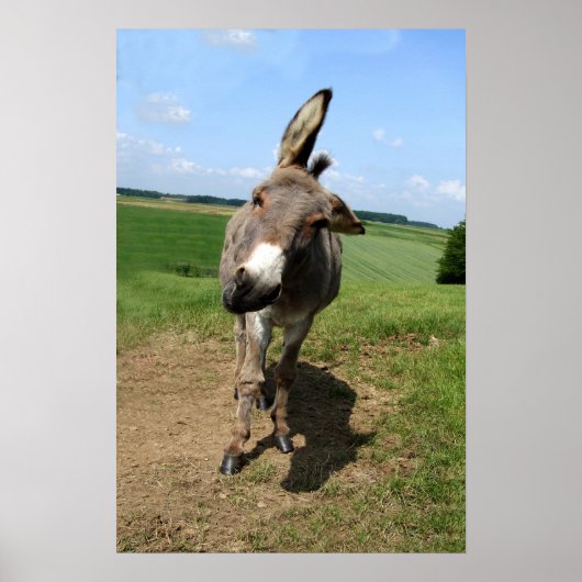 Lustiger Esel ポスター (正面)