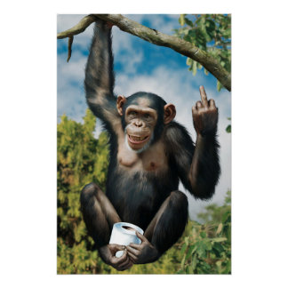 Lustiges WC Poster  ポスター