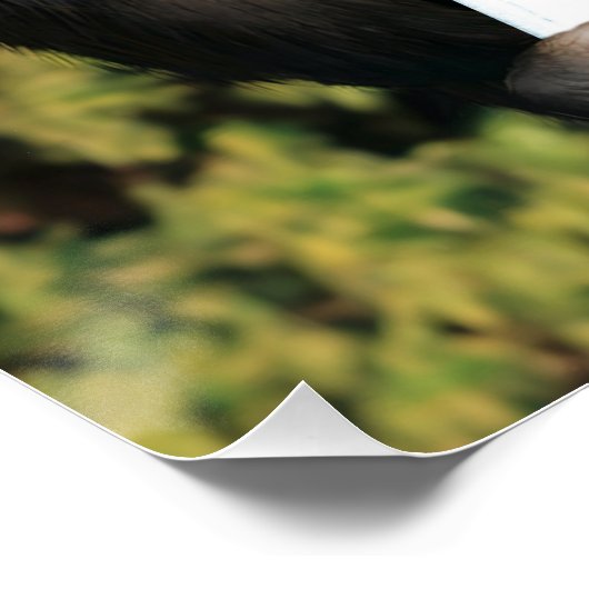 Lustiges WC Poster  ポスター (コーナー)